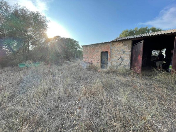 terreno agricolo in vendita ad Arzachena