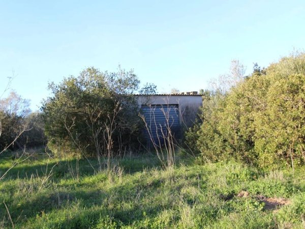terreno agricolo in vendita ad Arzachena