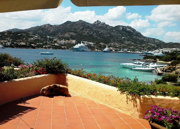 appartamento in vendita ad Arzachena in zona Porto Cervo