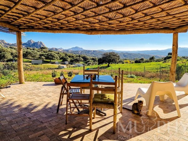 casa indipendente in vendita ad Arzachena