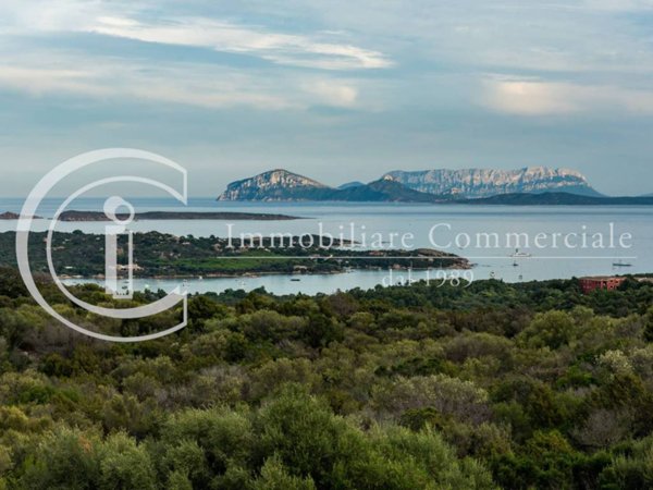 casa indipendente in vendita ad Arzachena in zona Porto Cervo