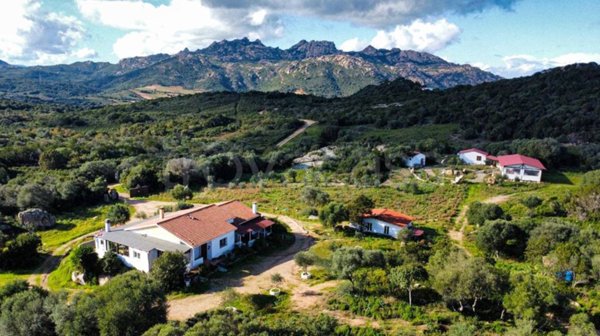 casa indipendente in vendita ad Arzachena