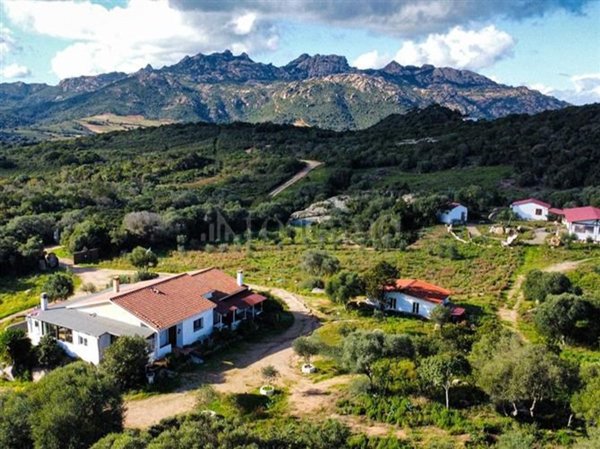 appartamento in vendita ad Arzachena