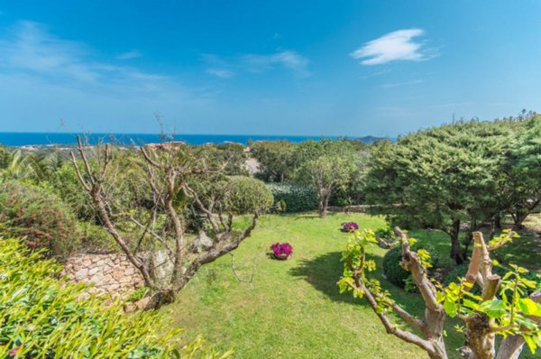 casa indipendente in vendita ad Arzachena in zona Porto Cervo