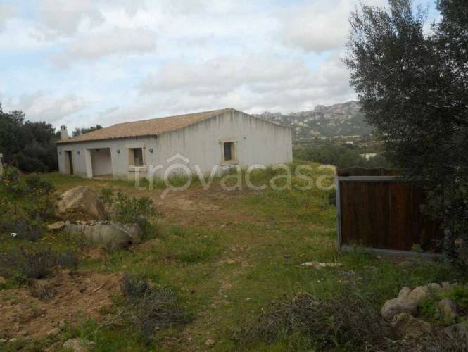 casa indipendente in vendita ad Arzachena