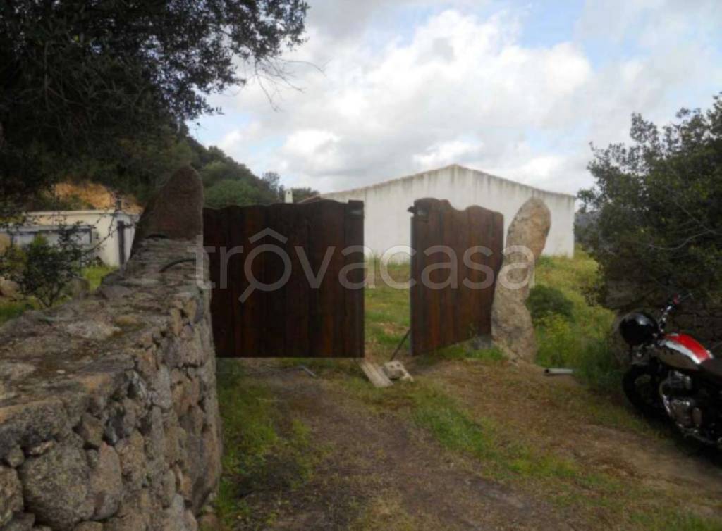 casa indipendente in vendita ad Arzachena