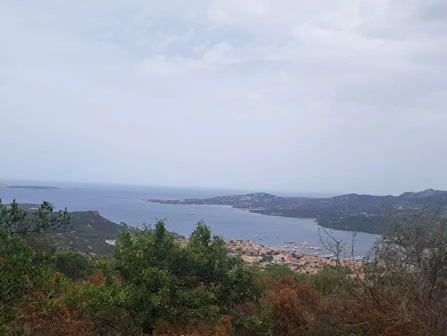terreno industriale in vendita ad Arzachena
