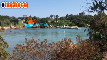 appartamento in vendita ad Arzachena