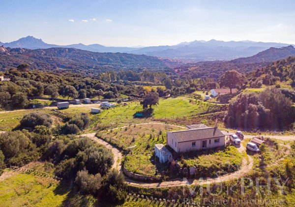 casa indipendente in vendita ad Arzachena in zona Cannigione
