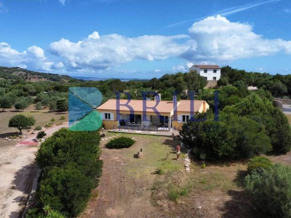 casa indipendente in vendita ad Arzachena in zona Cannigione