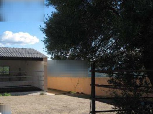 casa indipendente in vendita ad Arzachena