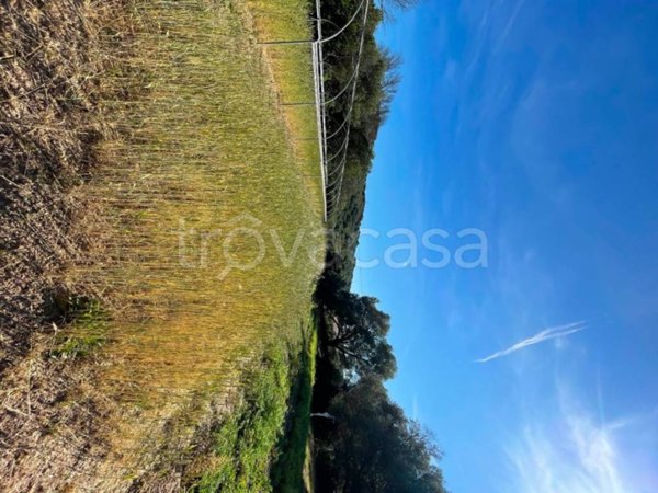 terreno agricolo in vendita ad Arzachena