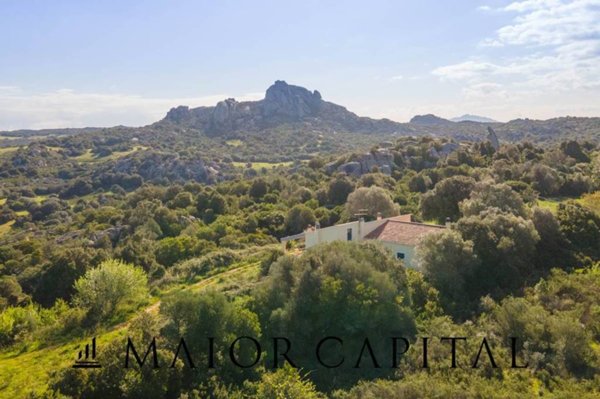 casa indipendente in vendita ad Arzachena in zona Porto Cervo