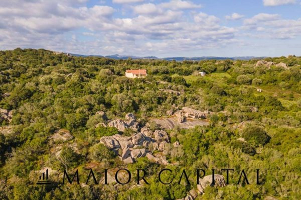 casa indipendente in vendita ad Arzachena in zona Porto Cervo