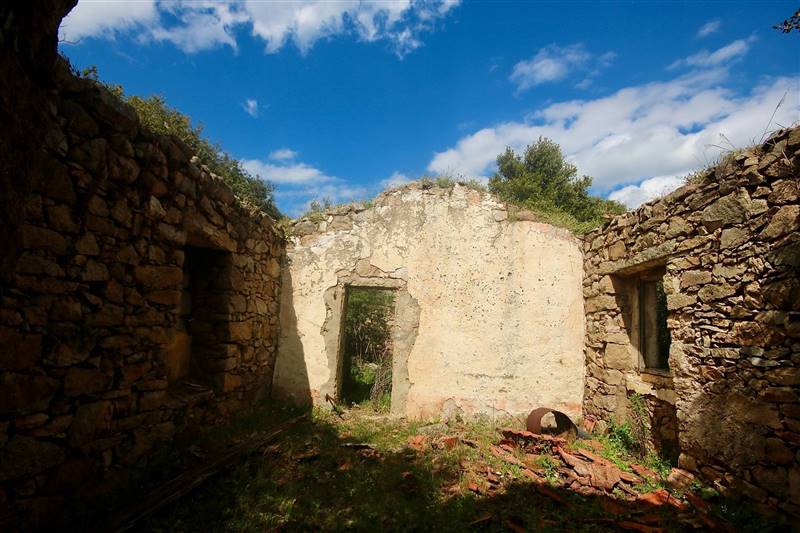 casa indipendente in vendita ad Arzachena