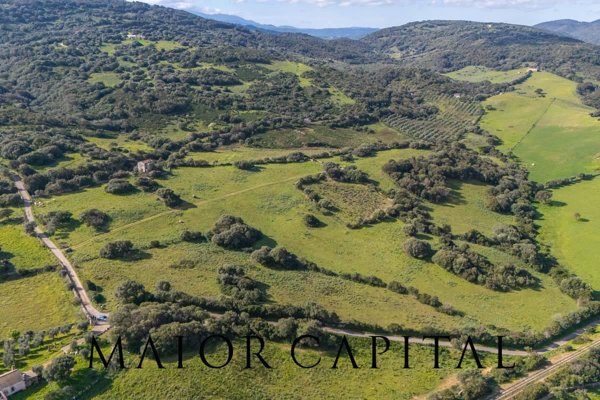 terreno agricolo in vendita ad Arzachena
