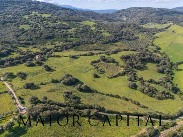 terreno agricolo in vendita ad Arzachena