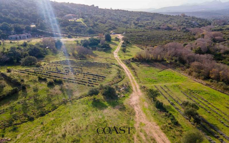 terreno agricolo in vendita ad Arzachena