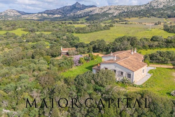 casa indipendente in vendita ad Arzachena in zona Cannigione