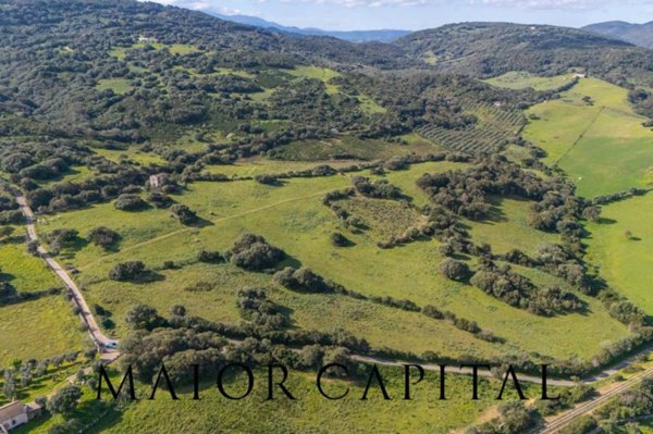terreno agricolo in vendita ad Arzachena