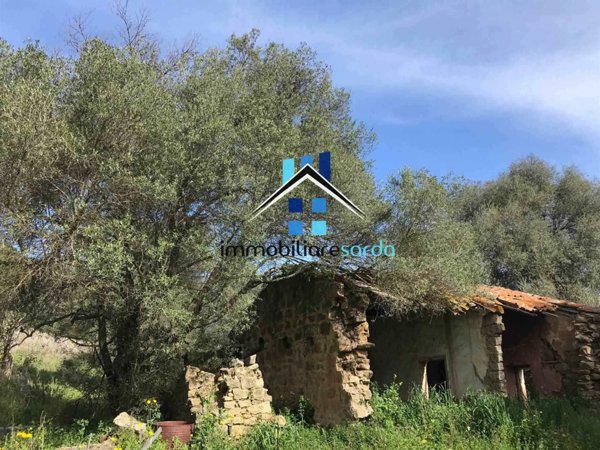 terreno agricolo in vendita ad Arzachena in zona Porto Cervo
