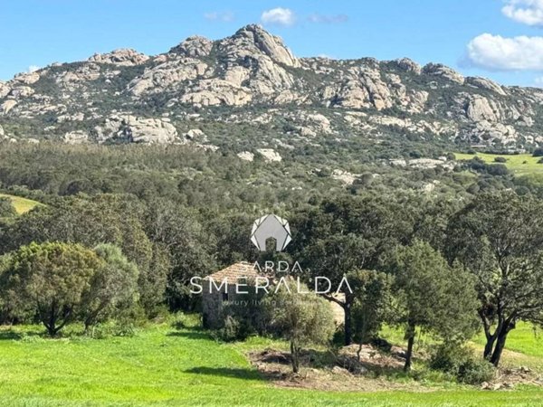 casa indipendente in vendita ad Arzachena