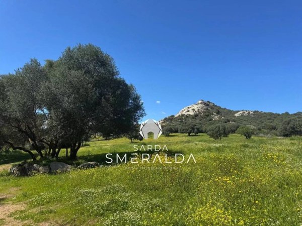 casa indipendente in vendita ad Arzachena