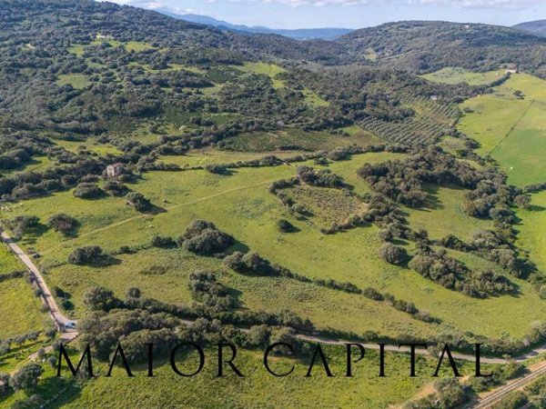 terreno agricolo in vendita ad Arzachena