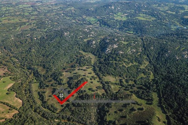 terreno agricolo in vendita ad Arzachena