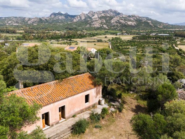 casa indipendente in vendita ad Arzachena