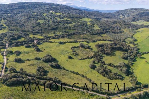 terreno agricolo in vendita ad Arzachena