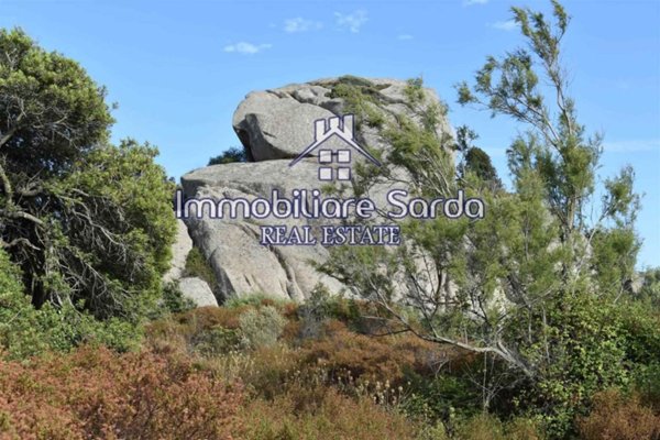 azienda agricola in vendita ad Arzachena in zona Cannigione