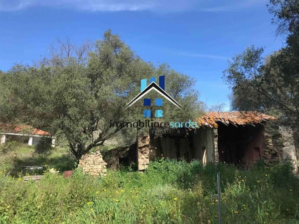 esavano in vendita ad Arzachena