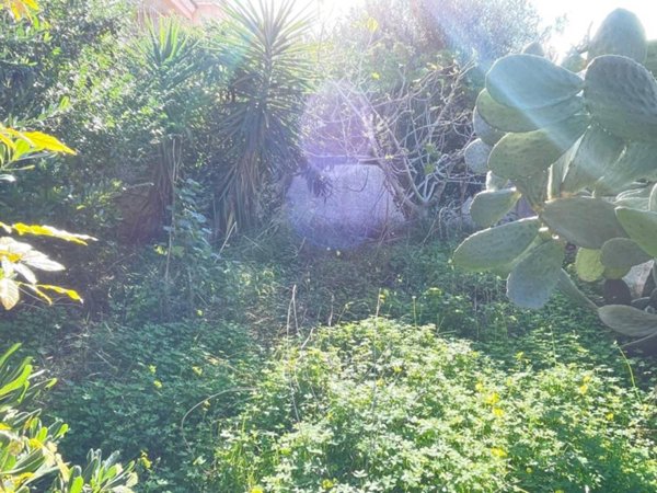 appartamento in vendita ad Arzachena