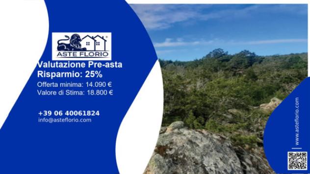 terreno agricolo in vendita ad Arzachena