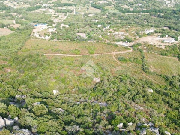 terreno agricolo in vendita ad Arzachena in zona Cannigione