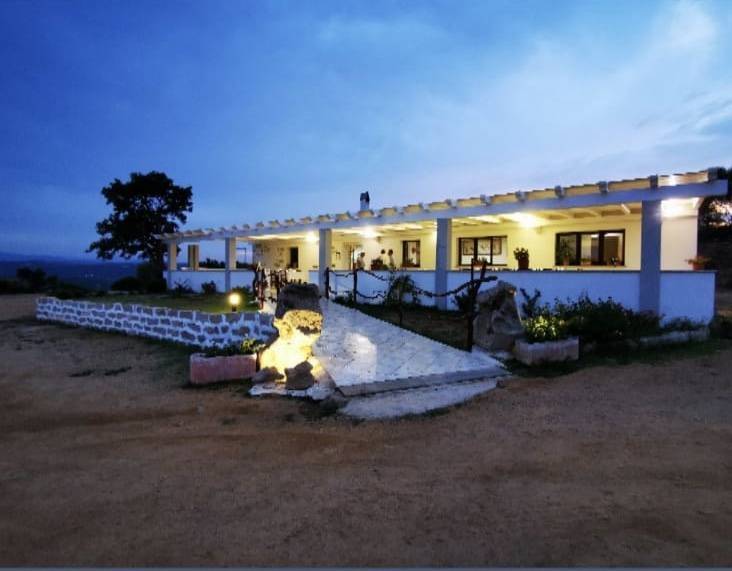 negozio in vendita ad Arzachena in zona Porto Cervo