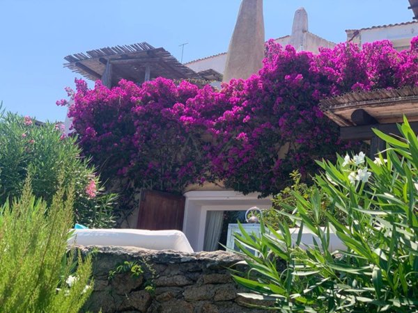 appartamento in vendita ad Arzachena in zona Porto Cervo