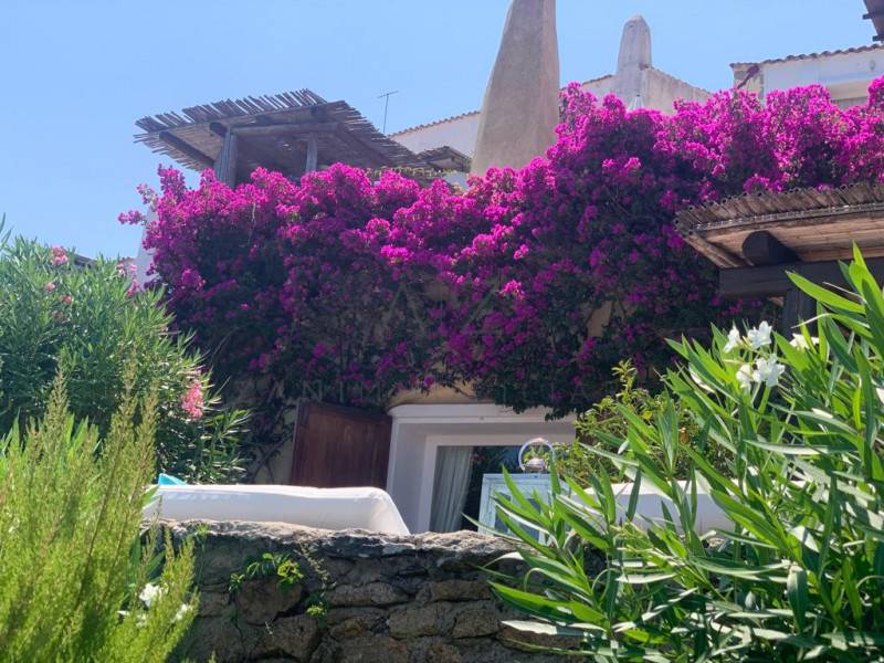 appartamento in vendita ad Arzachena in zona Porto Cervo