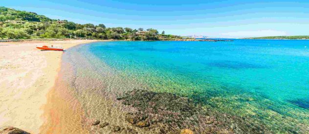 multiproprieta in vendita ad Arzachena in zona Porto Cervo