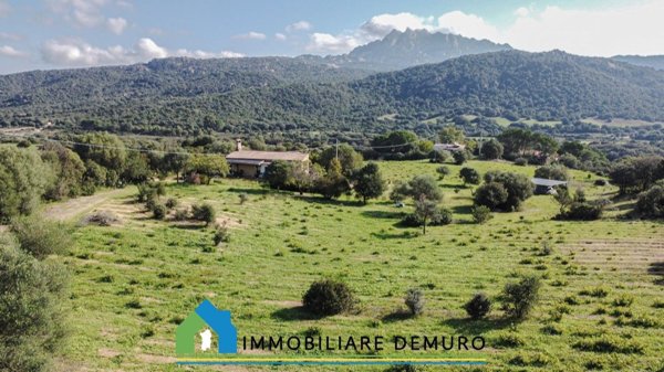 casa indipendente in vendita ad Arzachena in zona Cannigione
