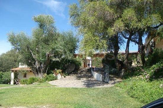 casa indipendente in vendita ad Arzachena