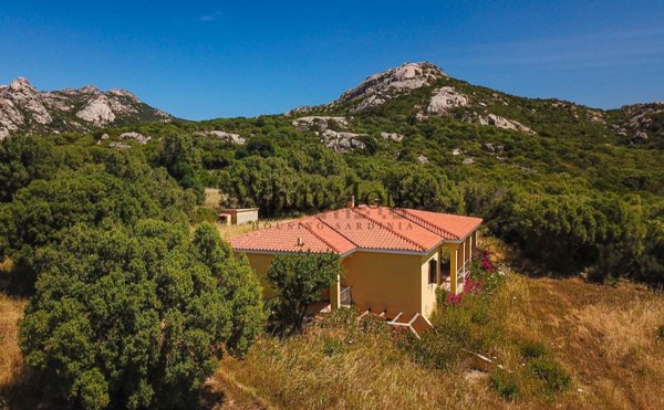 casa indipendente in vendita ad Arzachena