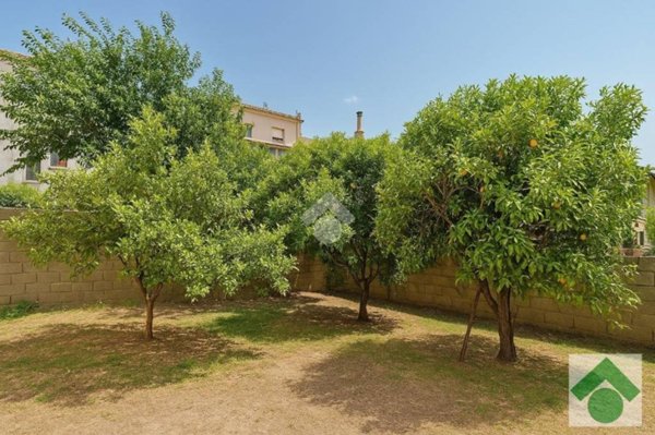 casa indipendente in vendita ad Arzachena
