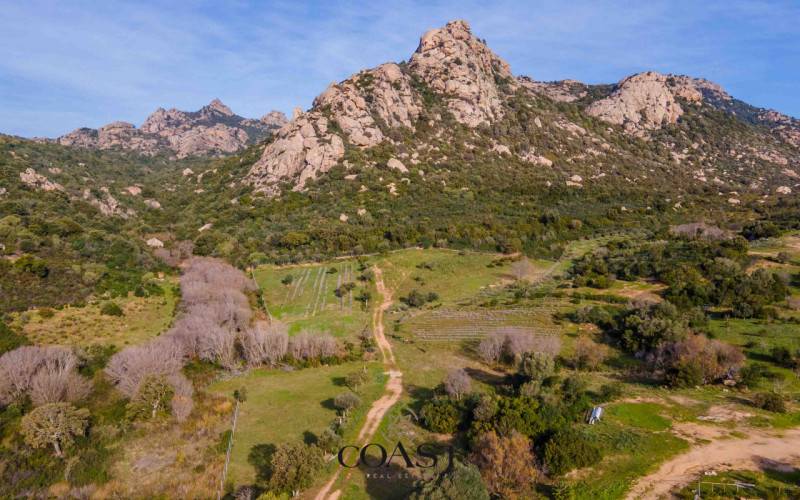 casale in vendita ad Arzachena