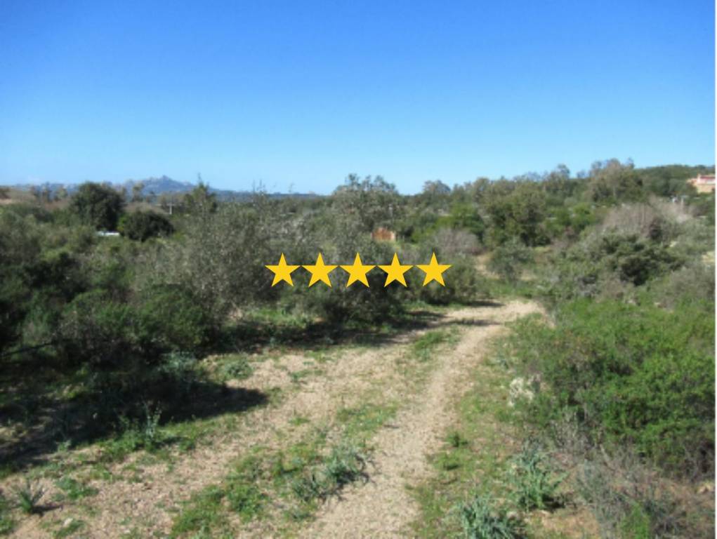 terreno agricolo in vendita ad Arzachena