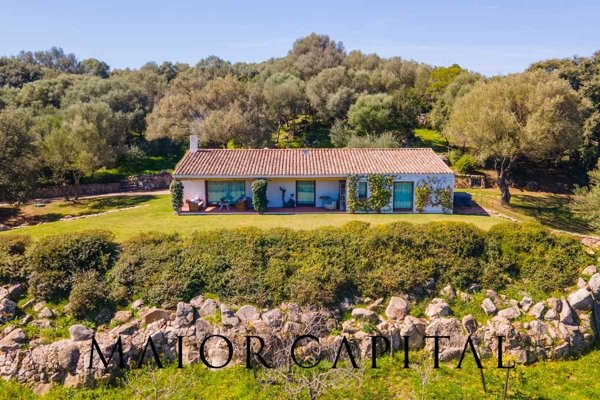 casa indipendente in vendita ad Arzachena