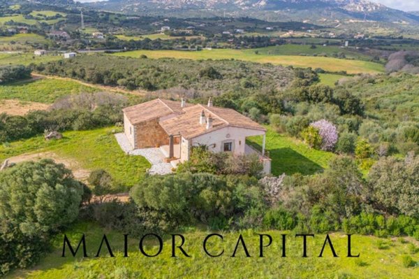 casa indipendente in vendita ad Arzachena in zona Cannigione