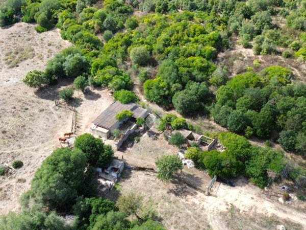 terreno agricolo in vendita ad Arzachena