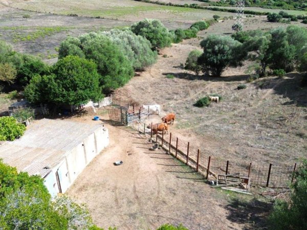 terreno agricolo in vendita ad Arzachena